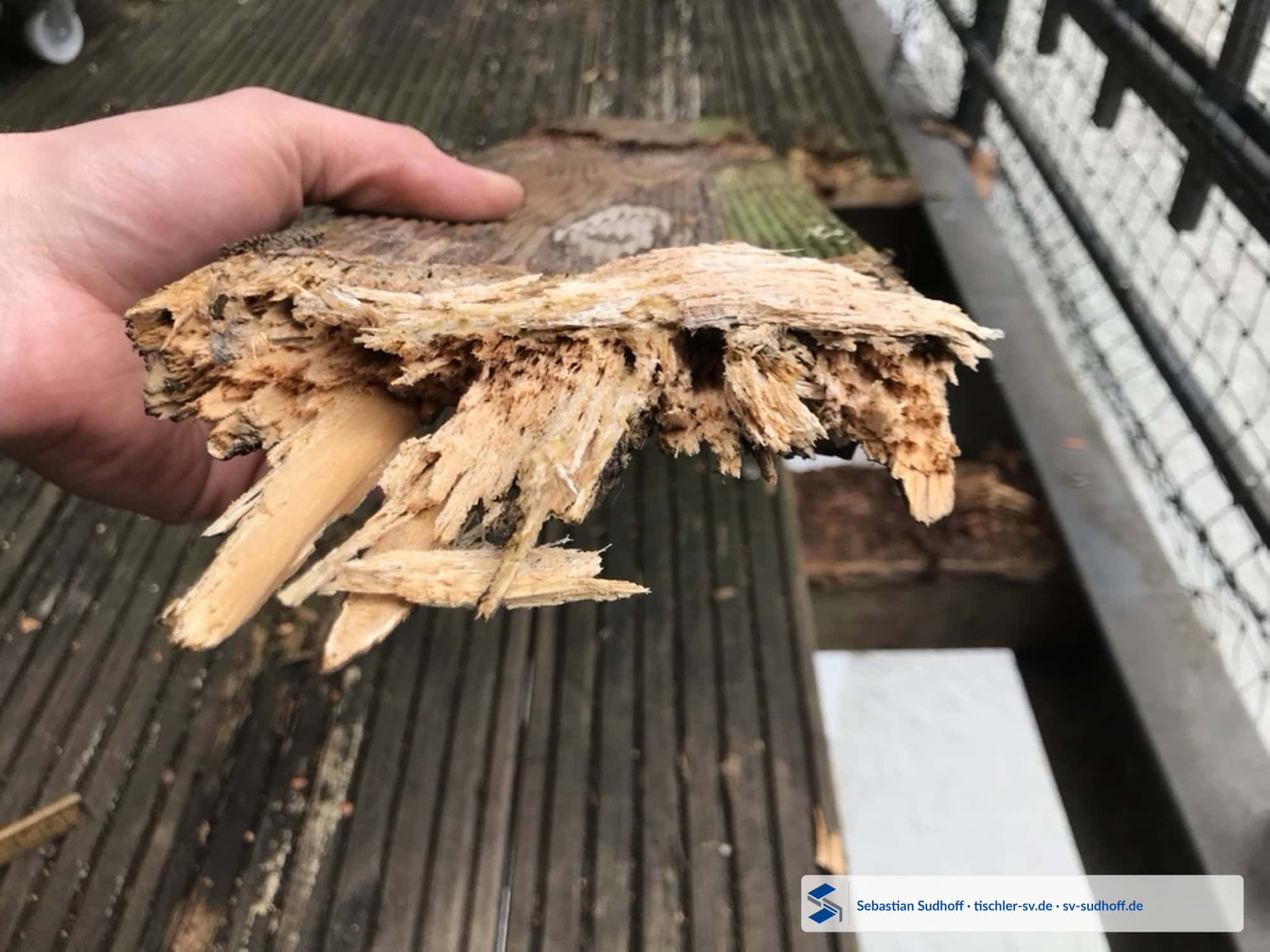 Faserig zerfallendes Holz eines verfaulten Terrassenbalkens