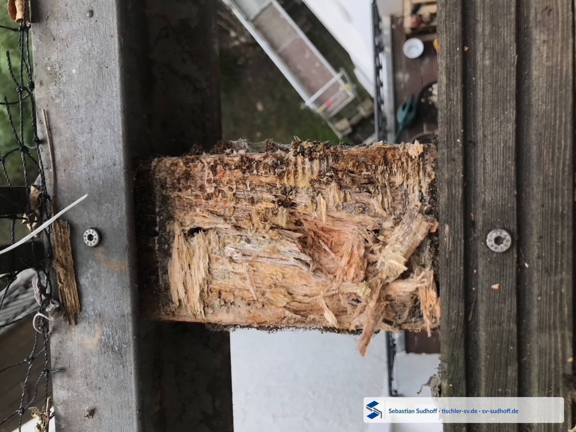 Nahezu vollständig zerstörter Querschnitt eines Terrassenbalkens
