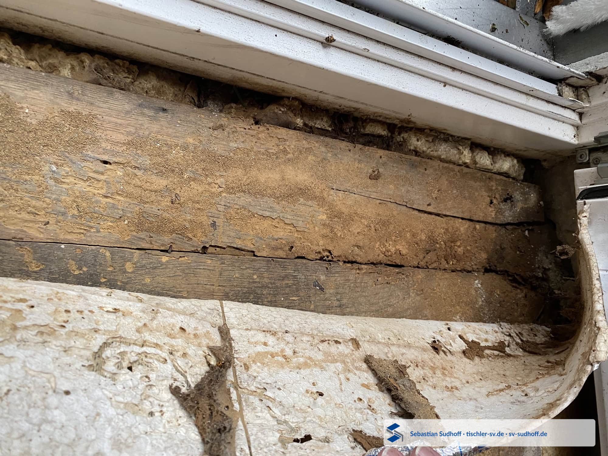 Freigelegter historischer Eichenfußboden im Bereich des Fensteranschlusses